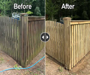 Fence Cleaning Services