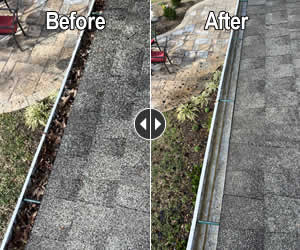 Gutter Cleaning Services