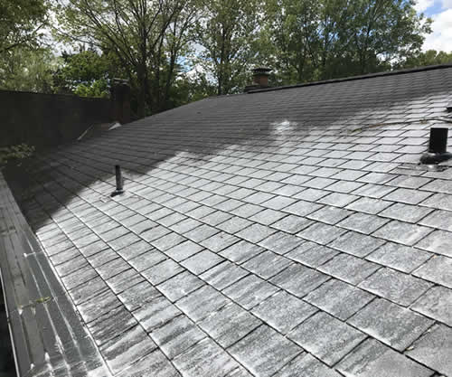 Pasadena Roof Soft Washing Method