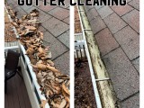 gutter.cleaning (10)