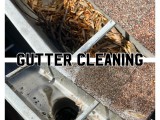 gutter.cleaning (14)